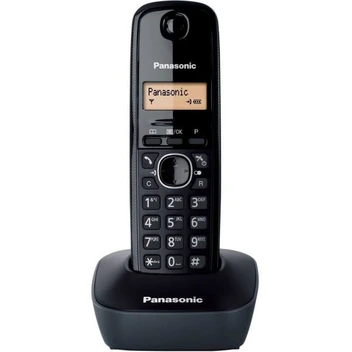 تصویر تلفن بی سیم پاناسونیک مدل KX-TG1611 ا KX-TG1611 KX-TG1611