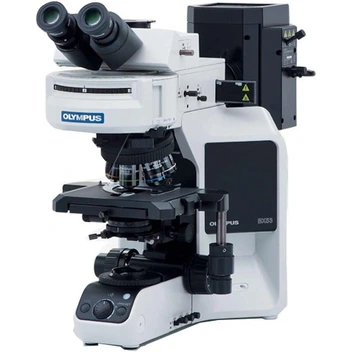 تصویر میکروسکوپ فلورسنت مدل Olympus BX53-F 