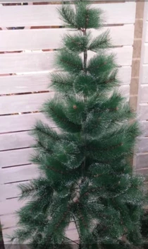 تصویر درخت کریسمس کاج اروپایی نک برفی 150 سانتی متر 