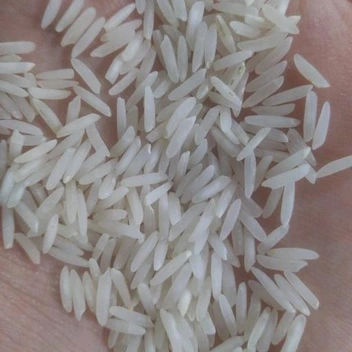 تصویر برنج پر محصول گلستان 