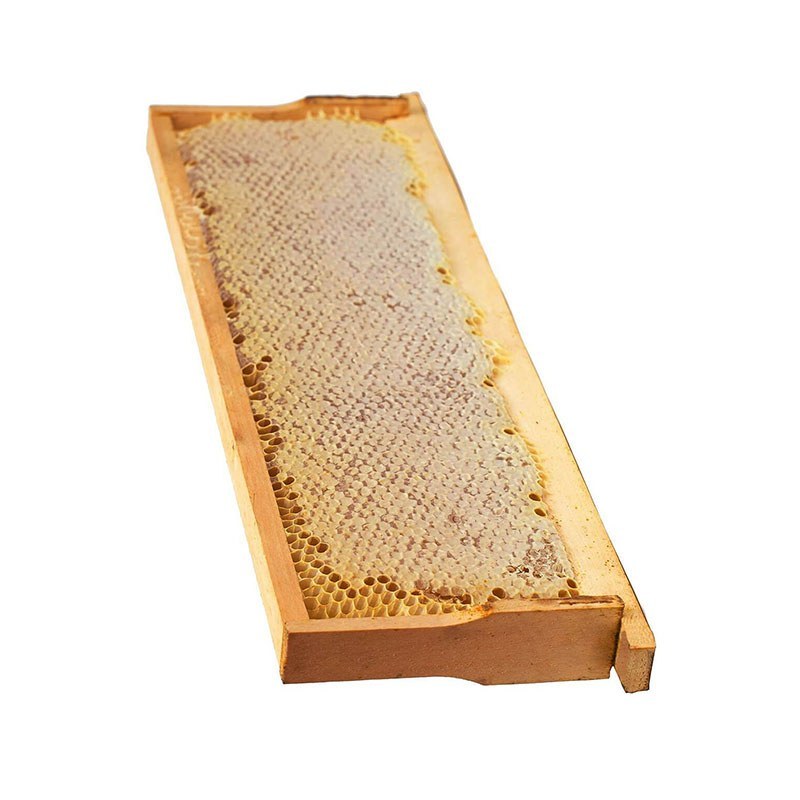 تصویر عسل با موم طبیعی ۱ کیلوگرم 