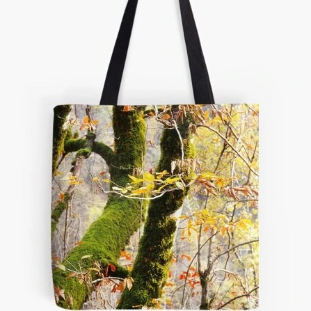 تصویر ساک خرید طرح درخت های پاییز 