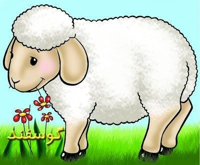 تصویر گوسفند (حیوانات مزرعه) 