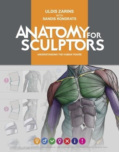 تصویر 󾕇 دانلود کتاب Anatomy For Sculptors, Understanding The Human Figure, 2014 - دانلود کتاب های دانشگاهی 