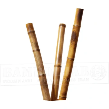 تصویر چوب بامبو قطر 3 کد BaMeC1 