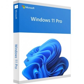 تصویر Windows 11 Pro 