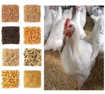 تصویر کنسانتره 2.5 درصد مرغ گوشتی - قیمت درج شده برای یک کیلو گرم میباشد 