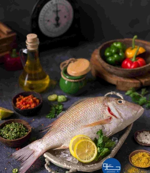 تصویر ماهی  شعری  ... جزو خوشمزه ترین  ماهی های  خلیج فارس 