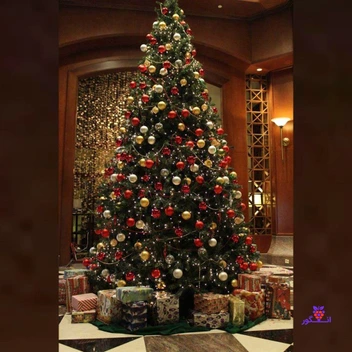 تصویر درخت کریسمس سایز بزرگ 250 سانتی  به همراه تزئینات 