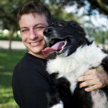 تصویر فیلم آموزش تربیت سگ های خانگی (13 قسمت کامل) 