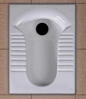 تصویر توالت زمینی پارمیس گلسار - آی بس 