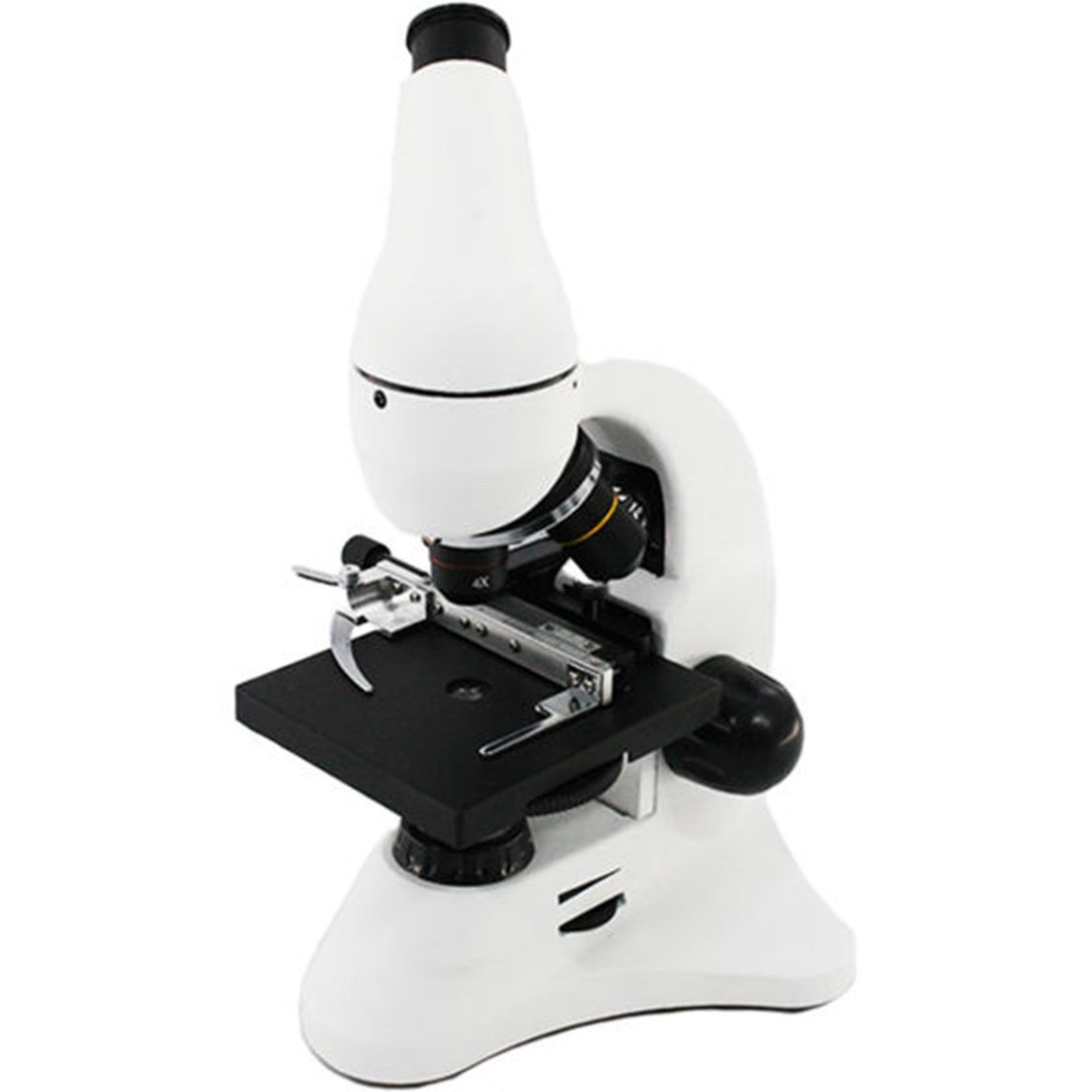 لیست قیمت میکروسکوپ  ترب