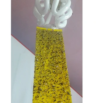 تصویر کارت زرد جاذب حشرات، (چسب حشره) کارتن ۱۰۰۰ تایی 