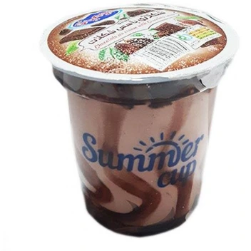 تصویر بستنی لیوانی شکلاتی با سس شکلات دومینو 65 گرمی 