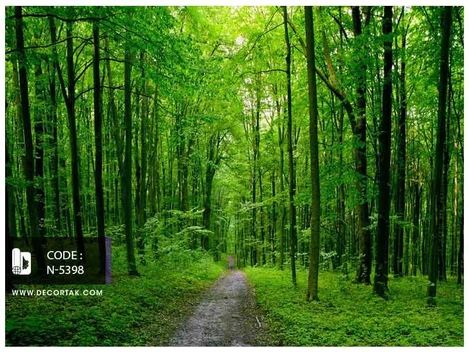 تصویر پوستر دیواری سه بعدی جنگل سرسبز کد N-5398 