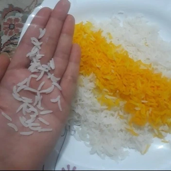 تصویر برنج فجر سوزنی گرگان ارسال رایگان (10کیلوگرم) با کیفیت عالی در مورد  ویژگی برنج حتما مطالعه بفرمایید. 