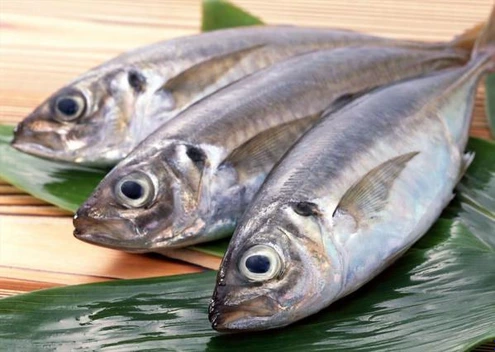 تصویر شاه ماهی ، غنی از بسیاری از ویتامین ها و مواد معدنی 