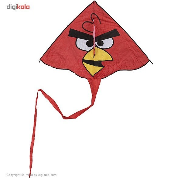 show the picture of kite bird