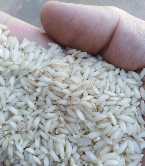 تصویر برنج عنبر بو خوزستان عطری (عمده) 
