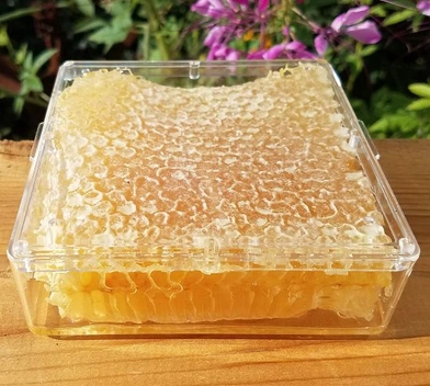 تصویر خرید عسل طبیعی با موم 