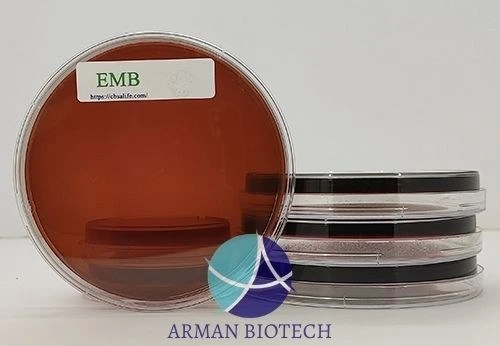تصویر پلیت آماده محیط کشت میکروبی EMB Agar، چهار سایز، محصول تالی ژن 
